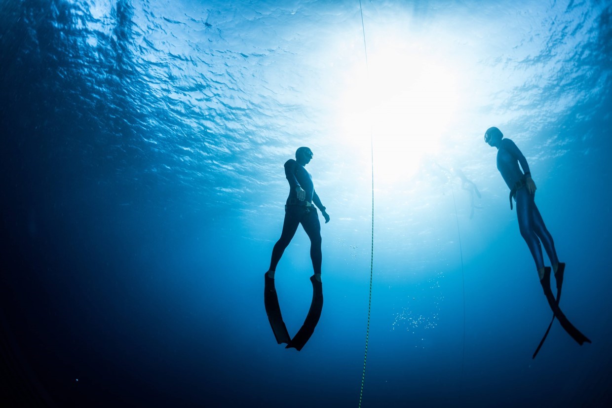 freeDive